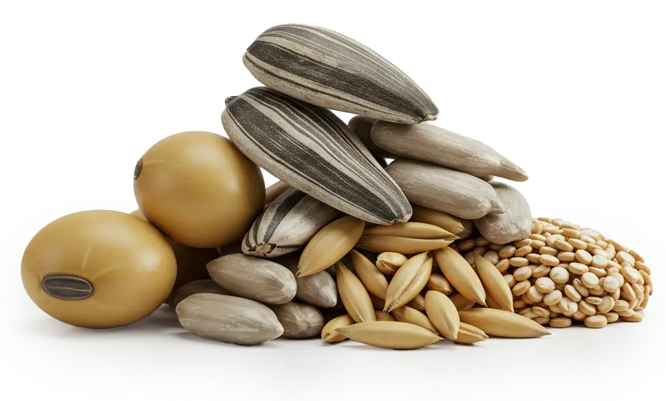 Phosphatidyl Choline in the NeuroGenica formula